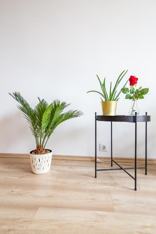 Best Rated Central Apartment Vienna - Ac, Wifi, 24H7Days Self Check-In, Board Games, Netflix Eksteriør billede